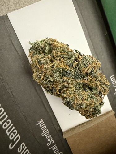 Growreport Bild 24