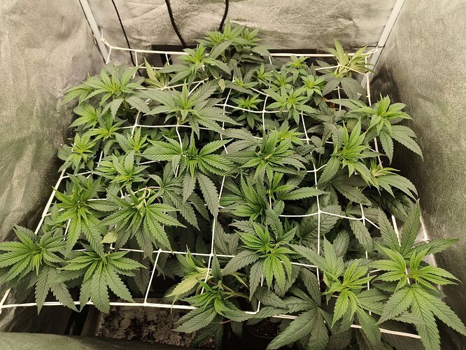 photo_5816767298550218101_y