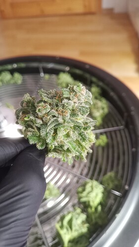 Growreport Bild 12