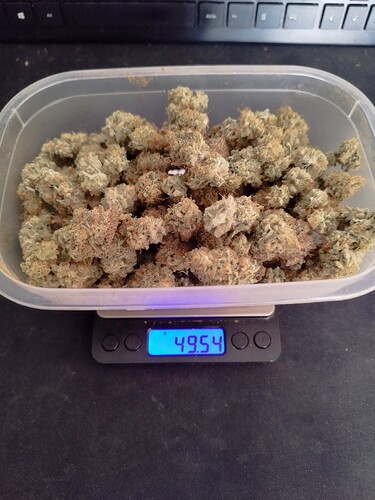 Growreport Bild 5