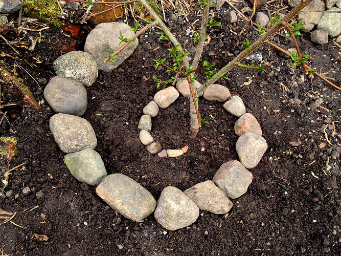 Grow26_0412_Treppe_1