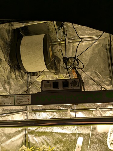 PXL_20240620_093107424