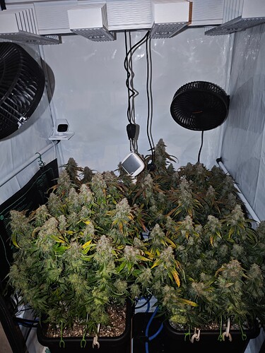 MVIMG_20251128_145954