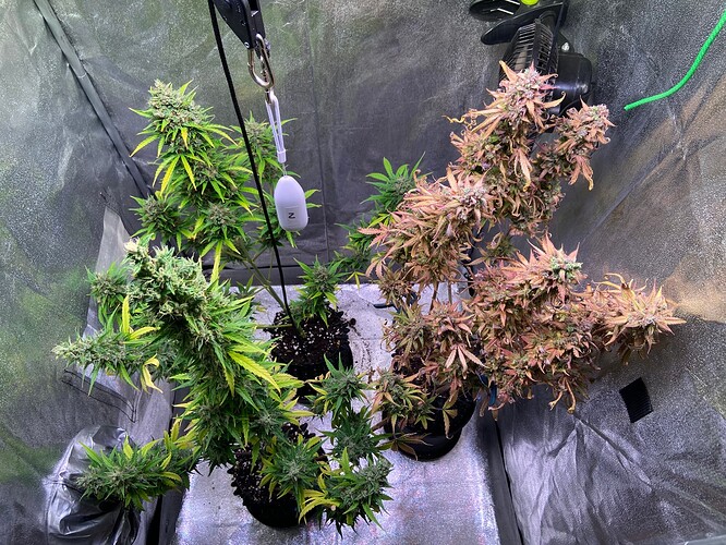 Growreport Bild 14