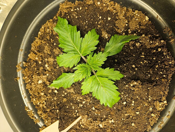 Growreport Bild 26