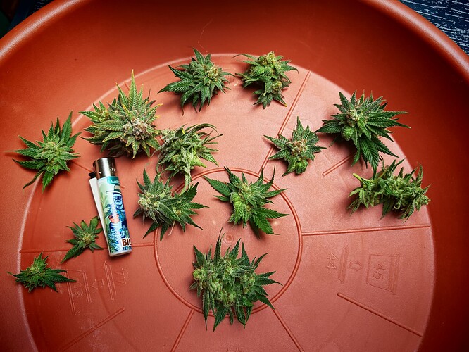 Growreport Bild 16