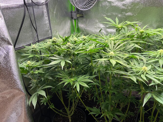 Growreport Bild 2