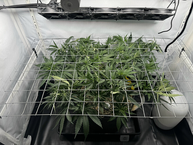 20240516_163638438_iOS