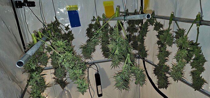 Growreport Bild 76