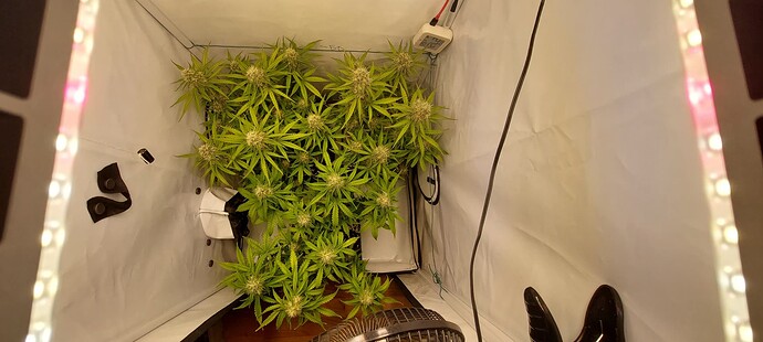 Growreport Bild 5