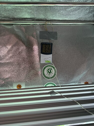 Growreport Bild 40