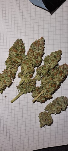 Growreport Bild 42