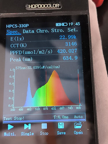 1000041238