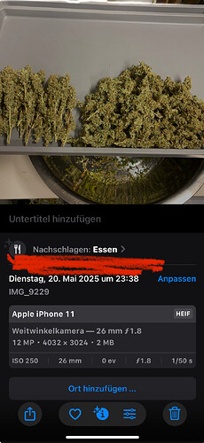Growreport Bild 29