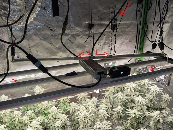 IMG_20250714_143537 - Kopie