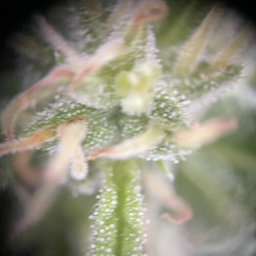 Growreport Bild 20