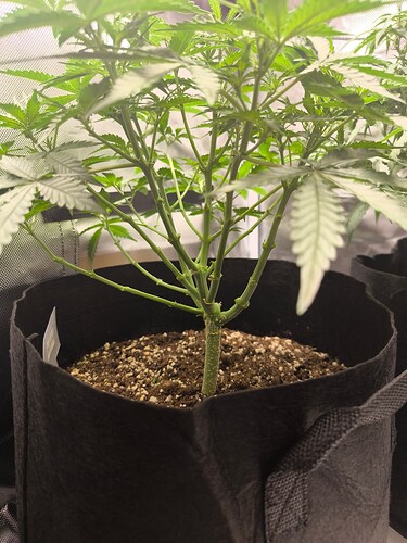 Growreport Bild 13