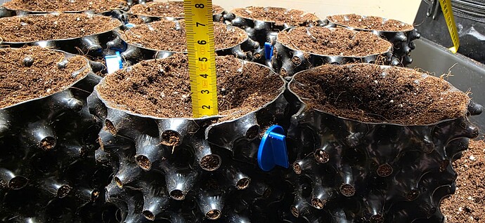 Growreport Bild 5