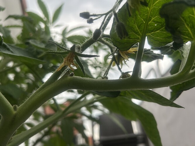 Growreport Bild 8