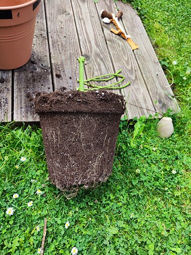 Growreport Bild 12