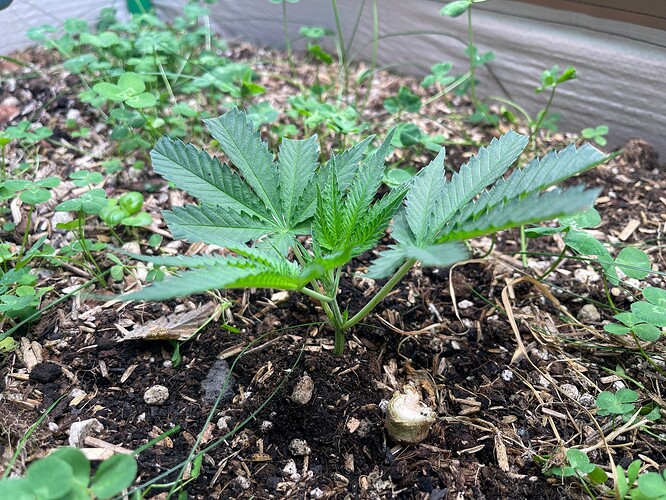 Growreport Bild 17