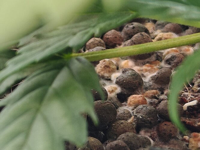 Growreport Bild 26
