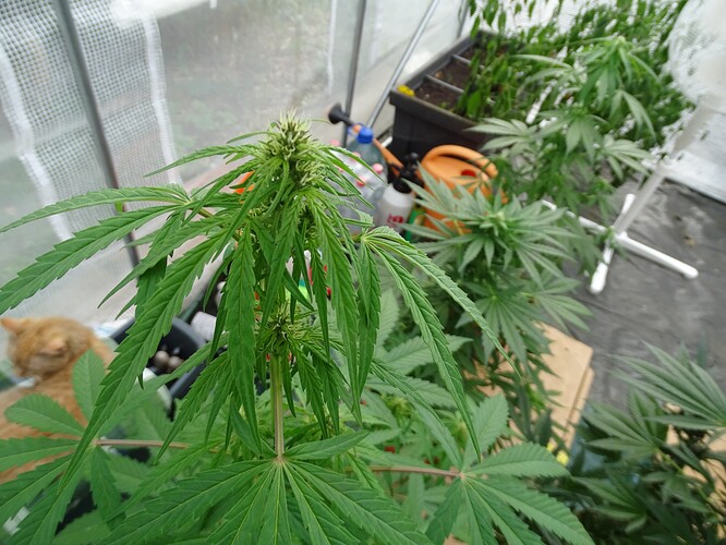 Growreport Bild 19
