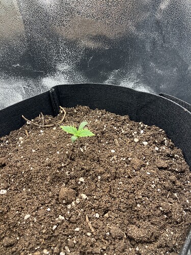 Growreport Bild 4