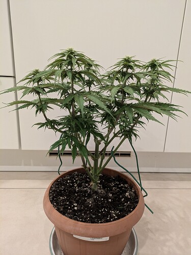 Growreport Bild 10