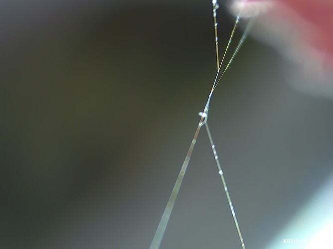 20230131072314_000028A