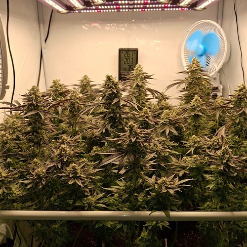 480069016_122169161978293599_1022263098201536428_n