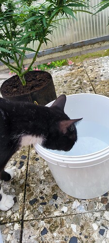 Growreport Bild 7