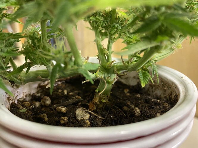 Growreport Bild 11