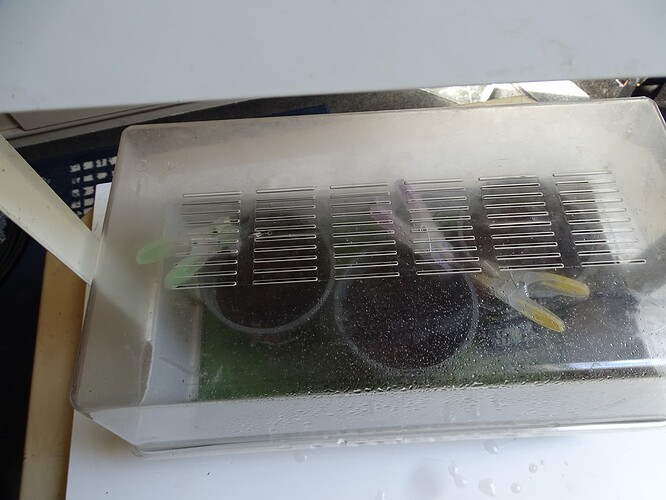 Growreport Bild 10