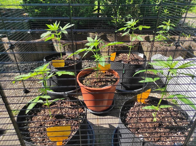Growreport Bild 4