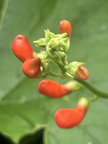 Growreport Bild 9