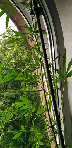 Growreport Bild 7