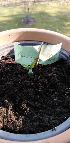 17430889553987618478938203946753