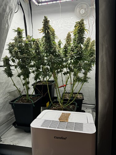 Growreport Bild 6