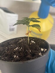 Growreport Bild 9