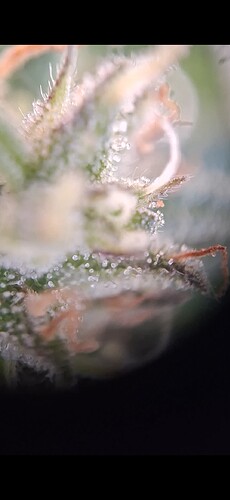 Screenshot_20240612_192631_Gallery