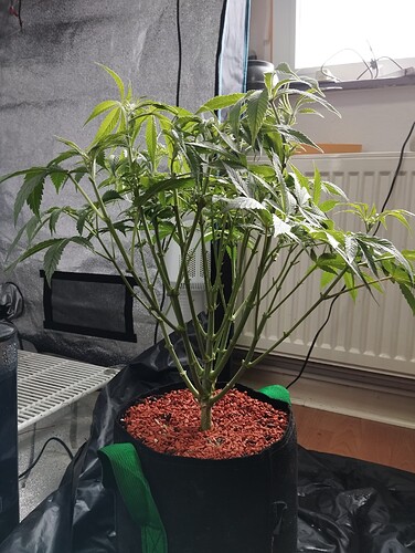 Growreport Bild 3