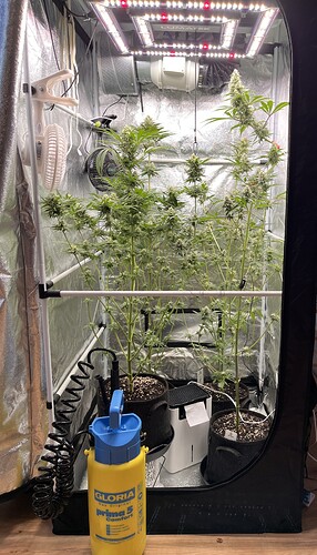 Growreport Bild 9