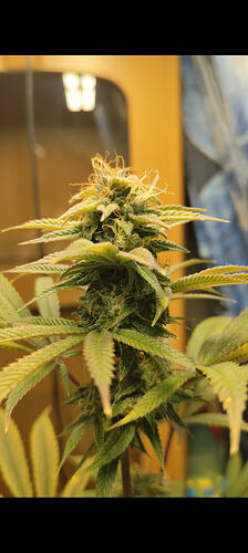 Screenshot_2026-02-24-14-19-59-583_com.miui.gallery