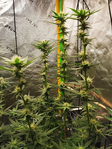 Growreport Bild 13