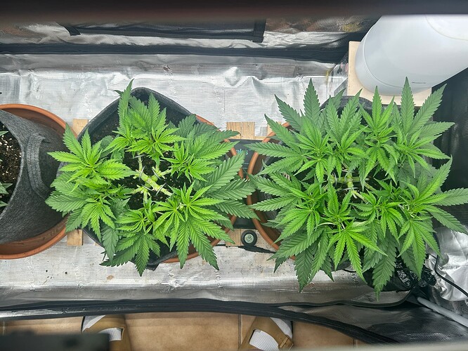 Growreport Bild 23