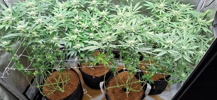 Growreport Bild 10