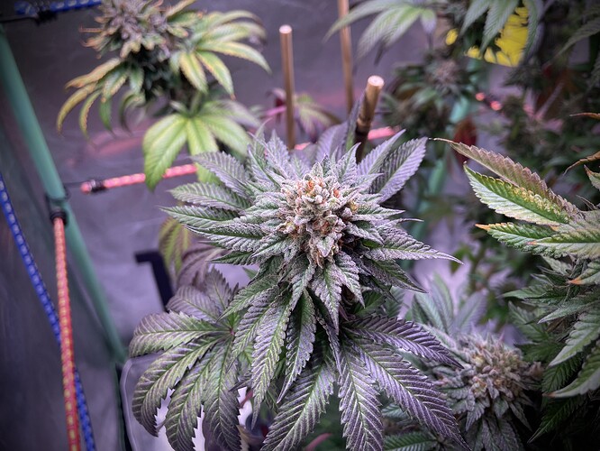 Growreport Bild 12