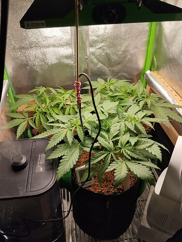 Growreport Bild 19