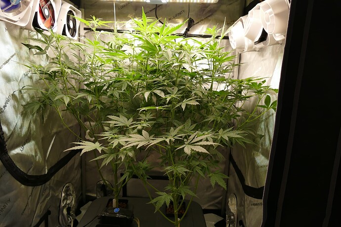 Growreport Bild 24